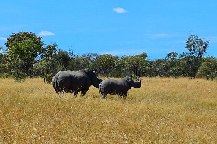12 day grand zimbabwe explorer in Victoria Falls