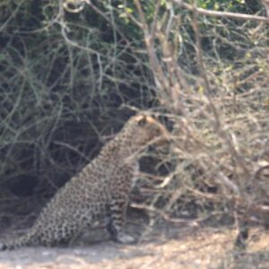 12-day hwange victoria falls chobe in Hwange National Park