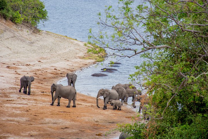 15 day victoria falls okavango in Victoria Falls