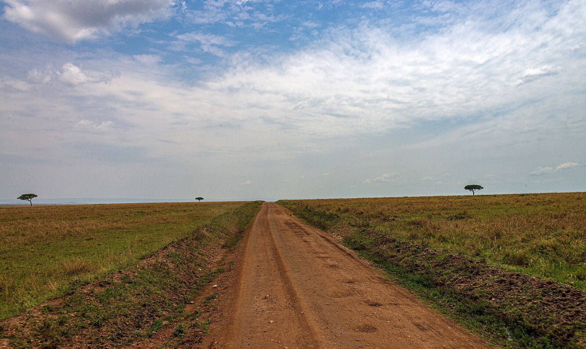 Strade principali e secondarie dello Zimbabwe: cosa dovrebbe sapere chi guida per la prima volta