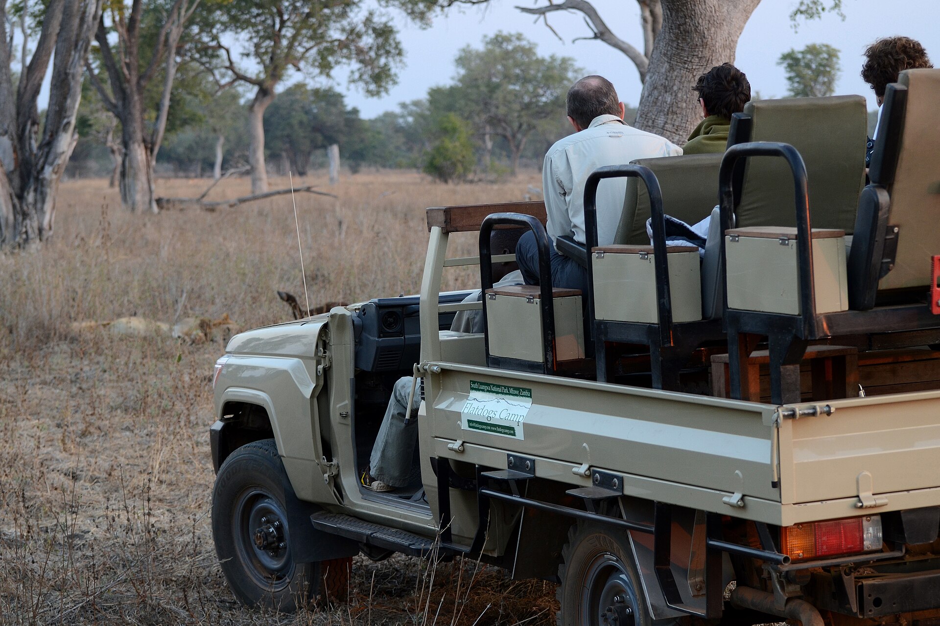 guided game drives in Zimbabwe