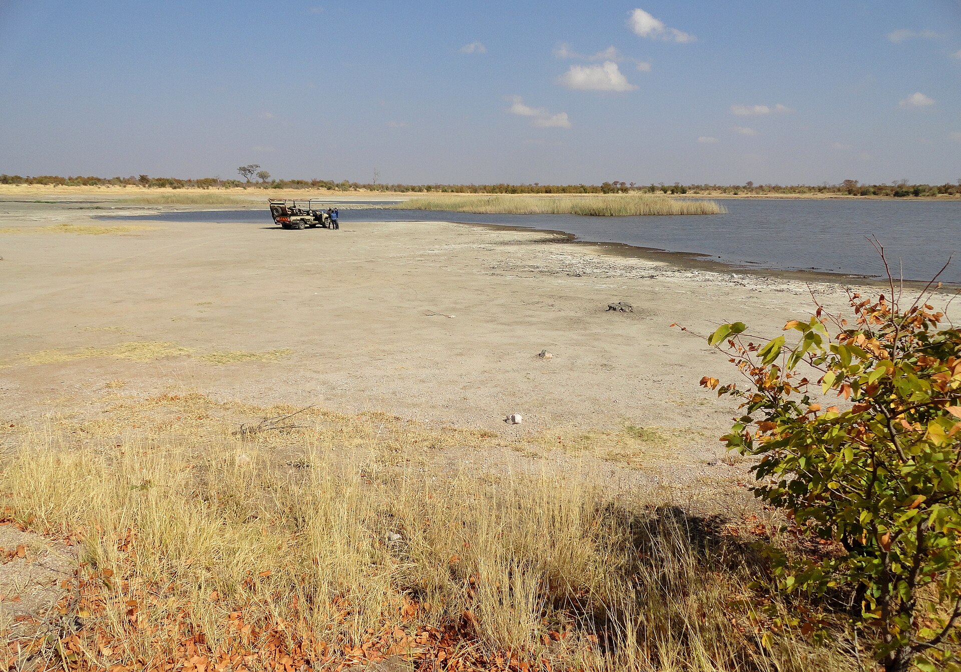 Hwange Main Camp