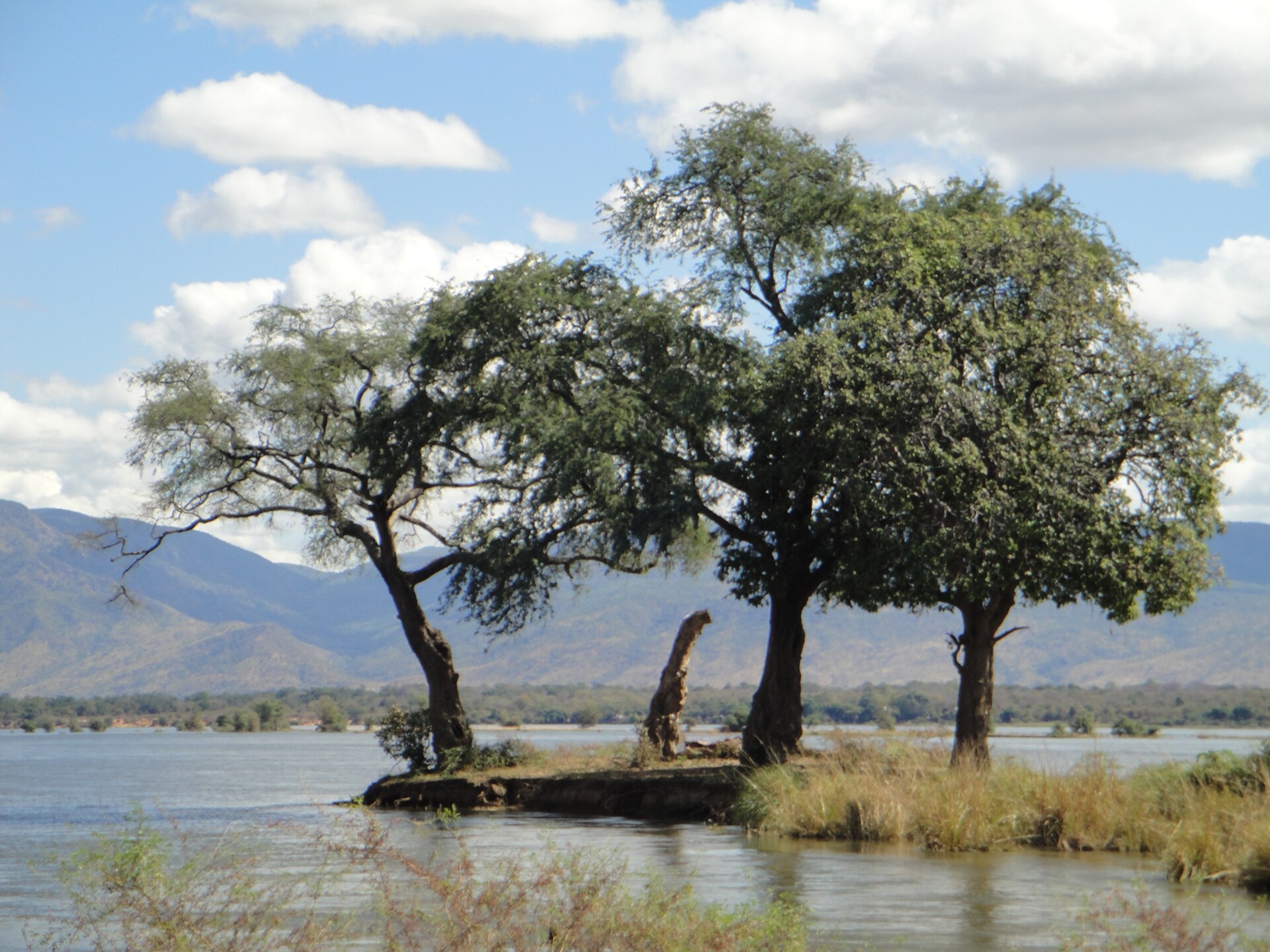 La strada della scarpata di Mana Pools: come pianificare l’esperienza