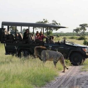 2-day chobe park safari tour in Victoria Falls