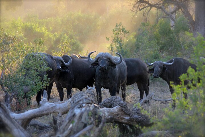 2 giorni – hwange national – Hwange National Park