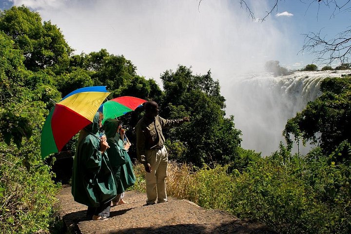 2-hour tour of the victoria in Victoria Falls
