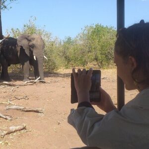 2-hours elephants safari day tour in Victoria Falls