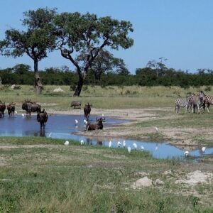 3 day chobe national park in Victoria Falls