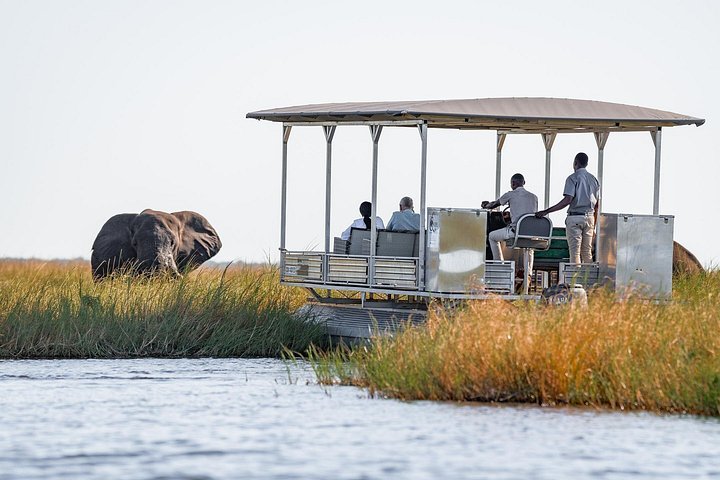 3 days camping safari in Victoria Falls