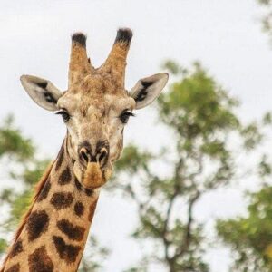 3 days victoria falls adventure in Victoria Falls
