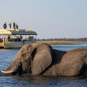3 hour chobe river sunset in Victoria Falls