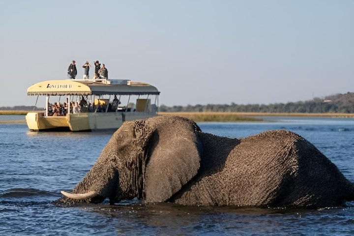 3 hour chobe river sunset in Victoria Falls