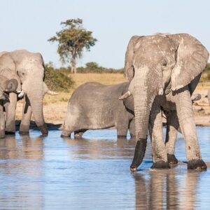 4-day trip to victoria falls in Victoria Falls