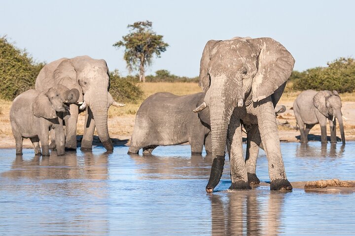 4-day trip to victoria falls in Victoria Falls