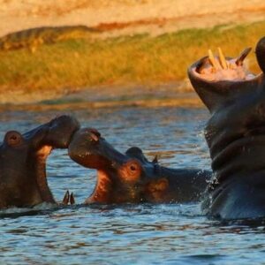 4 day victoria falls experience in Victoria Falls