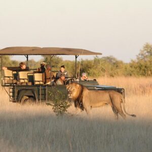 4 days victoria falls hwange in Hwange National Park