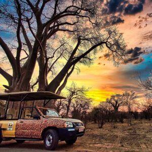 4x4 safari in victoria falls in Victoria Falls