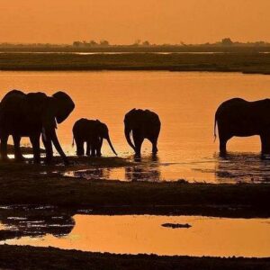 5 day chobe national park in Victoria Falls