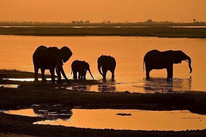 5 day chobe national park in Victoria Falls