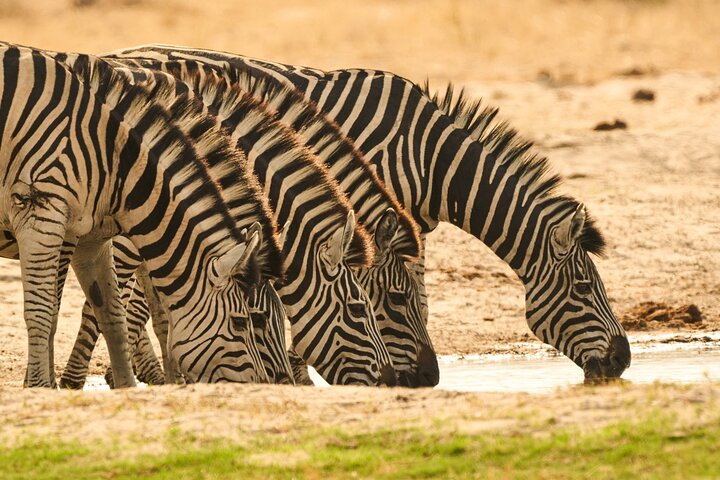 5 day - quadruple package in Victoria Falls