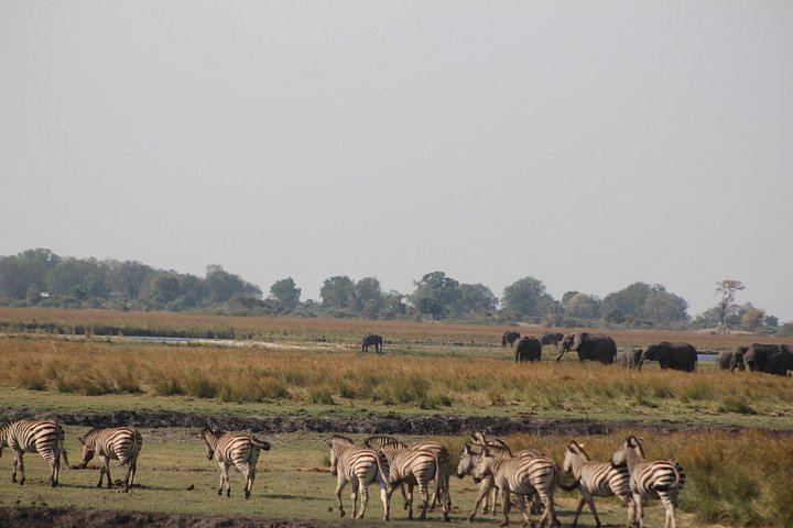 5-day victoria falls and chobe in Victoria Falls