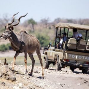 6-day hwange chobe victoria falls in Hwange National Park
