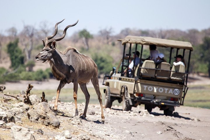 6-day hwange chobe victoria falls in Hwange National Park