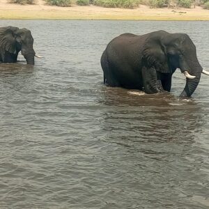 8-day victoria falls chobe national in Victoria Falls