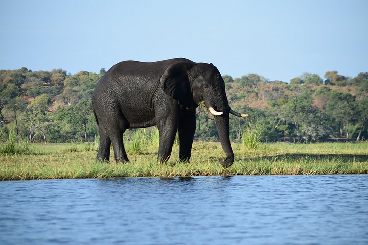 9 day safari adventure victoria in Victoria Falls