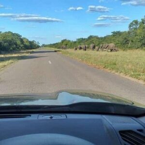 Airport hotel and local transfers in Victoria Falls