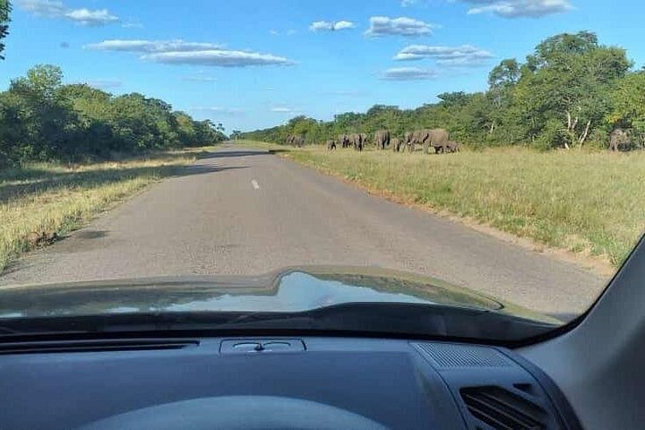 Airport hotel and local transfers in Victoria Falls