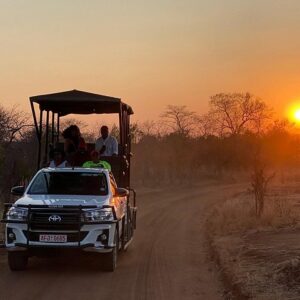 Baobab safari in national park in Victoria Falls