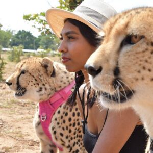 Cheetah experience victoria falls in Victoria Falls