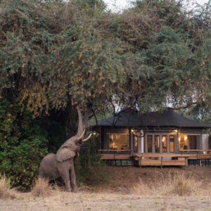 Chikwenya Camp, Mana Pools, Zimbabwe