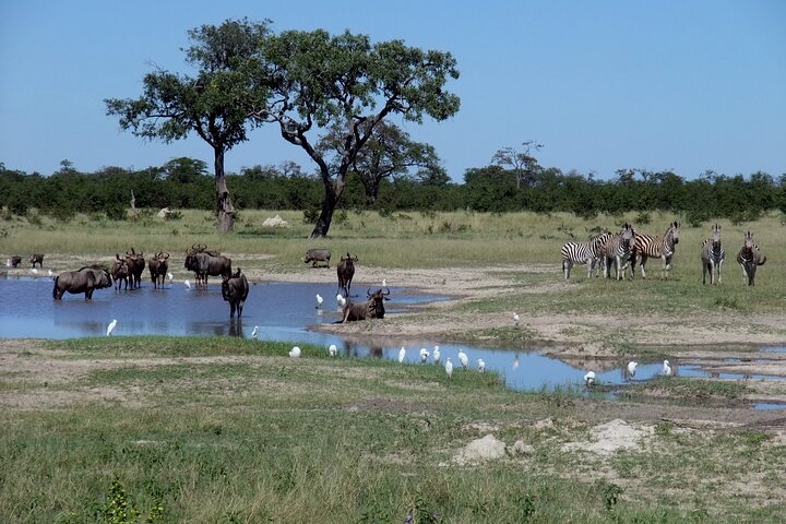 Chobe botswana day trip in Victoria Falls