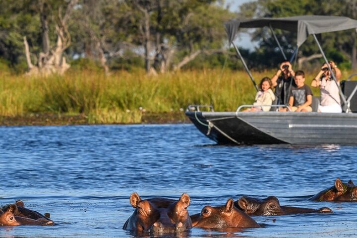 Chobe day trip in Victoria Falls