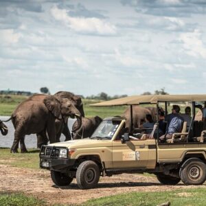 Chobe day trip botswana ex in Victoria Falls