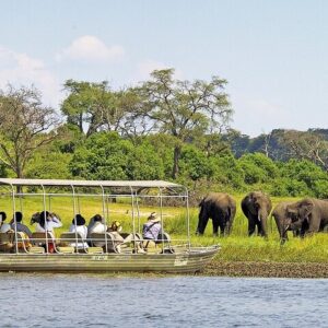 Chobe day trip from victoria in Victoria Falls