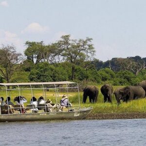 Chobe full day trip in Victoria Falls