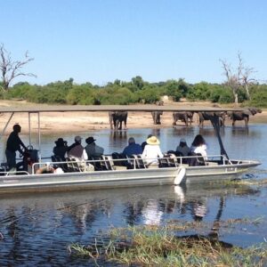 Chobe full day trip in Victoria Falls