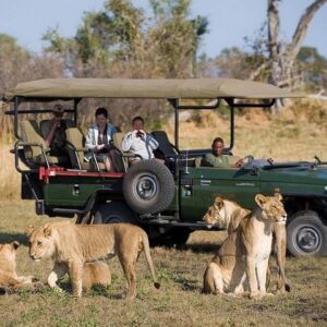 Chobe full day trip in Victoria Falls