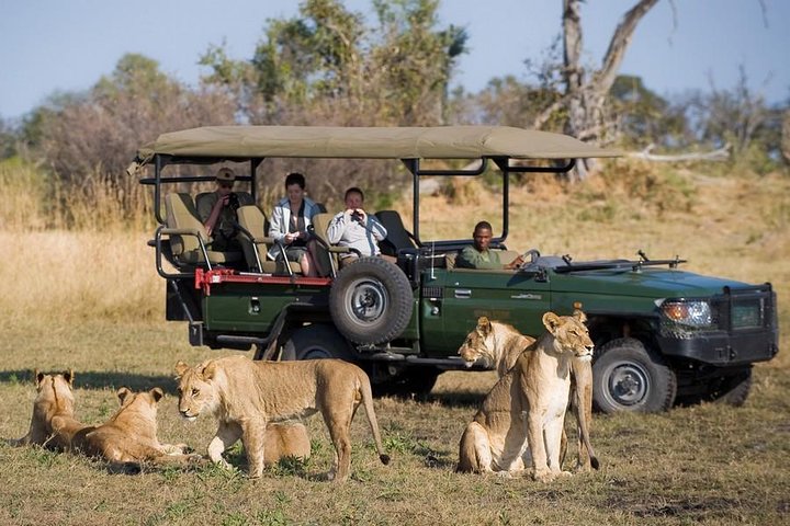 Chobe full day trip in Victoria Falls
