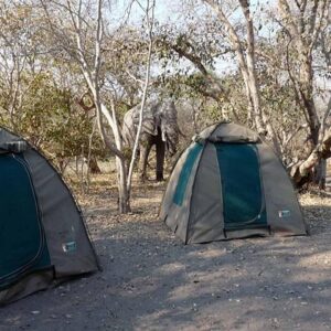 Chobe national park camping safari in Victoria Falls