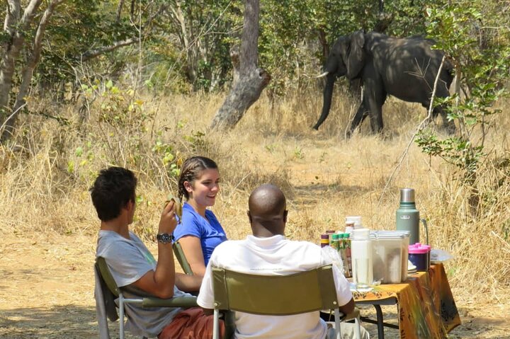 Chobe safari overnight camping trip in Victoria Falls