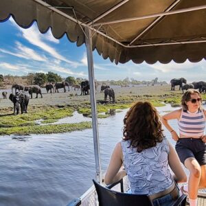 Chobe s half-day river adventure in Victoria Falls