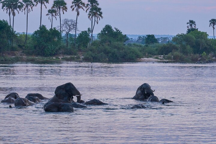 Dinner cruise victoria falls in Victoria Falls