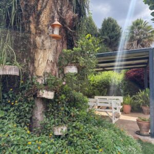 Mt Pleasant Heights guest rooms on Crichton Avenue, Harare, Zimbabwe