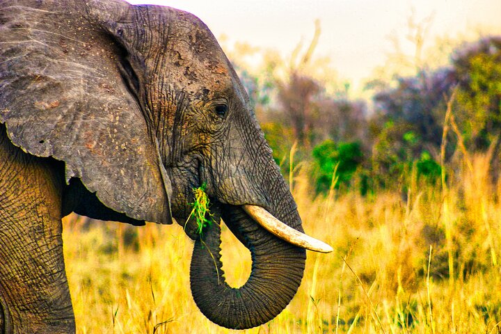 Dry safari game drive in Victoria Falls