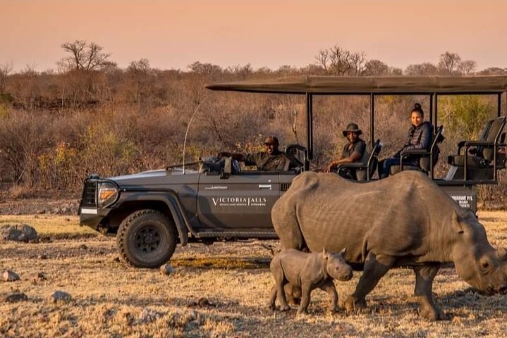 Evening game drive with bush in Victoria Falls