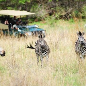 Experience victoria falls and chobe in Victoria Falls